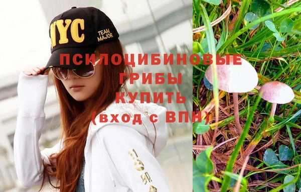 круглые Надым